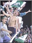 Maccabi Haifa - Fans